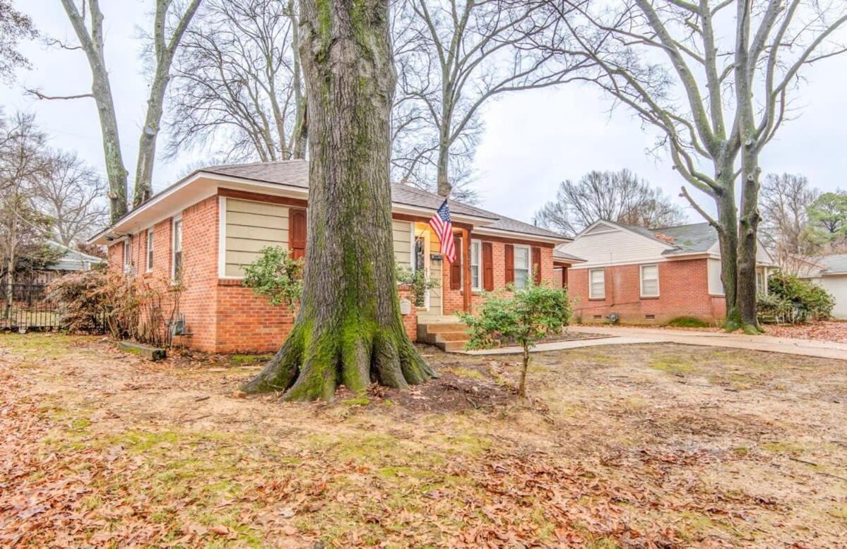 Colonial Acres Abode- East Memphis- 20 Mins To Downtown Holiday home Memphis